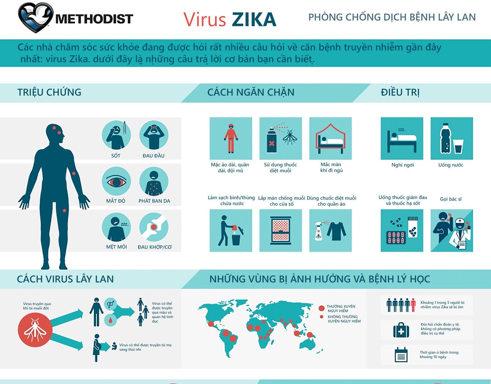 trieu-chung-nhiem-ZIKA-3